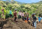 Kolaborasi-Polsek-Wolowaru-dan-Petani:-Ritual-Adat-Hingga-Bibit-Bima-20-Uri,-Ende-Pacu-Gerakan-NTT-Lumbung-Jagung
