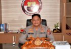 Pengungkapan-Jaringan-Pencurian-Ternak-di-Sumba-Barat