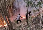 Polsek-Ende-Bersama-Damkar-Padamkan-Titik-Api-Karhutla