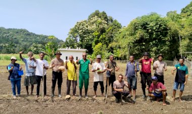 Polres-Ende-Dukung-Program-Ketahanan-Pangan-Nasional-dengan-Penanaman-Jagung-di-Wolowaru