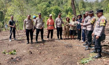 Sinergi-Panen-Masa-Depan,-Polres-Ende-Gandeng-Petani-Detukeli-Tanam-2-Hektar-Jagung-Bima-Uri