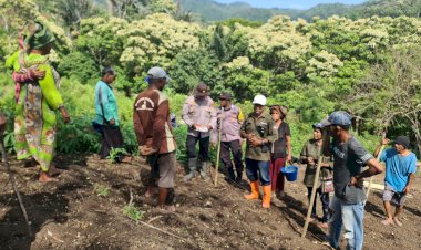 Kolaborasi-Polsek-Wolowaru-dan-Petani:-Ritual-Adat-Hingga-Bibit-Bima-20-Uri,-Ende-Pacu-Gerakan-NTT-Lumbung-Jagung