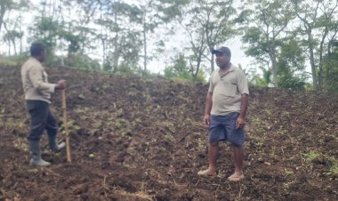 Polisi-Penggerak-Ketahanan-Pangan,-Bhabinkamtibmas-Tenda-Dampingi-Persiapan-Lahan-Jagung-2-Hektar-di-Wiwipemo