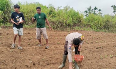 Sinergi-Polri-dan-Petani-di-Lahan-Jagung:-Kelompok-Tani-Lowonggo-Sukses-Lakukan-Pemupukan-Perdana-di-Lahan-Baru-2,5-Ha