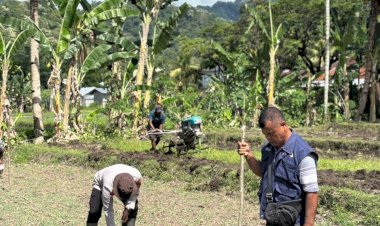 Gerakan-Tanam-Jagung-Polri:-Polres-Ende-Perkuat-Status-NTT-Sebagai-Lumbung-Pangan-Nasional
