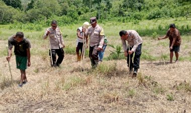 Dukung-Program-Presiden,-Polres-Ende-Hijaukan-75-Hektar-Lahan-dengan-Jagung
