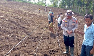 Wujudkan-Lumbung-Jagung-Nasional,-Polsek-Wolowaru-dan-Pemuda-Desa-Wiwipemo-Tanam-Jagung-Serentak