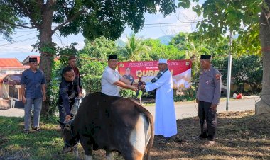 Wujudkan-Kepedulian-Sosial,-Kapolres-Ende-Serahkan-Hewan-Kurban-di-Idul-Adha-2026