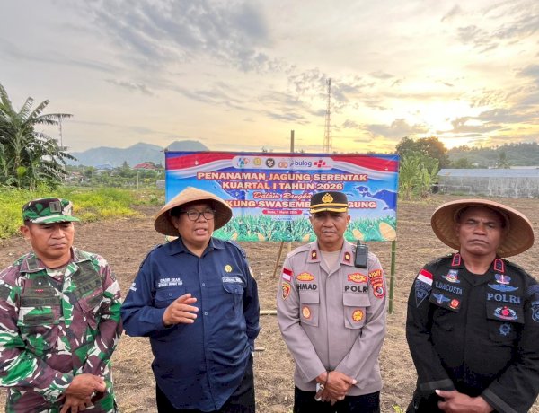 Polres Ende Bersama Forkopimda Tanam Jagung Serentak Kuartal 1 2026 di Nanganesa