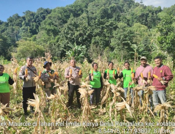 Kolaborasi Polri dan Petani, Panen Jagung di Desa Ndondo Perkuat Ketahanan Pangan Nasional