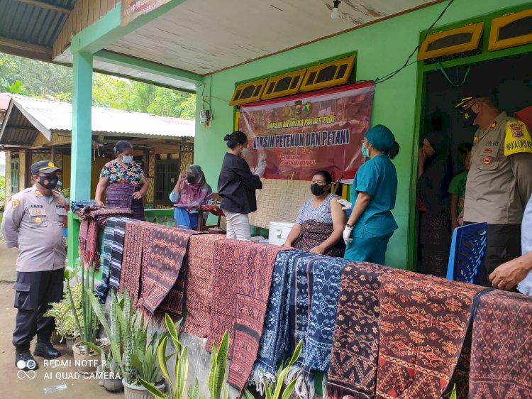 Tinjau Vaksin Merdeka Petenun Dan Petani Di Kecamatan Ndona, Waka Polres Ende Berharap Percepatan Vaksinasi Sehingga Herd Immunity Terbentuk