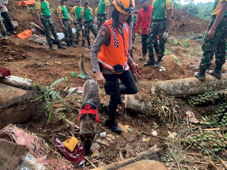 Satu anjing pelacak temukan titik diduga korban tertimbun longsor Cianjur