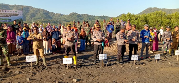 Waka Polres Ende Hadiri Penanaman Mangrove Serentak Bersama Kodim 1602 dan Pemda  Ende