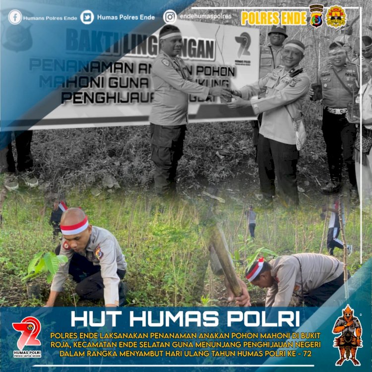 HUT Humas Polri ke-72, Polres Ende Lakukan penghijauan Dengan Tanam Anakan Pohon Mahoni di Lembah Gunung Meja