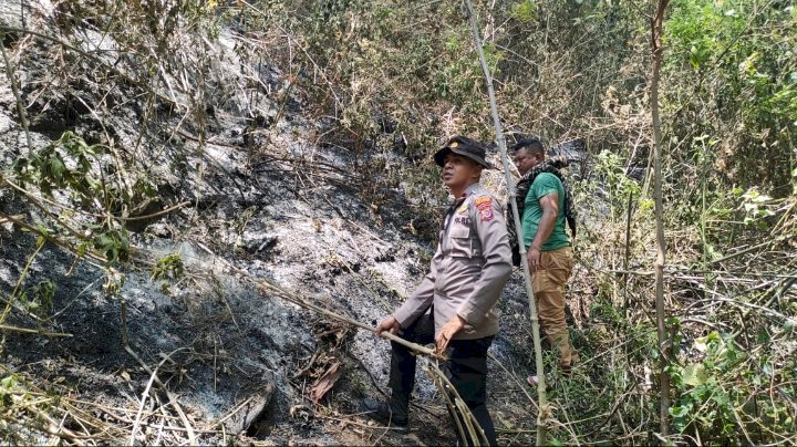 Kapolsek Wolowaru Bersama Masyarakat dan Instansi Terkait Padamkan Api di Sekitar Kawasan Taman Nasional Kelimutu