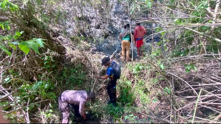 Kapolsek Wolowaru Bersama Masyarakat dan Instansi Terkait Padamkan Api di Sekitar Kawasan Taman Nasional Kelimutu