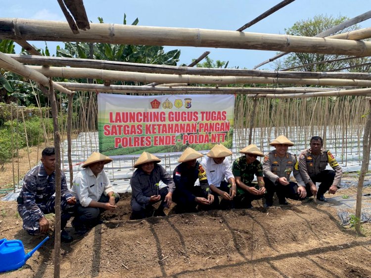 Dukung Program Asta Cita, Polres Ende Launching Gugus Tugas Polri Dukung Ketahanan Pangan