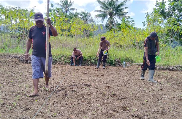Polres Ende Dukung Program Ketahanan Pangan Nasional dengan Penanaman Jagung di Wolowaru