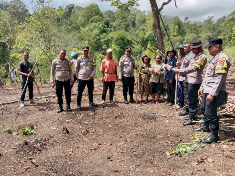 Sinergi Panen Masa Depan, Polres Ende Gandeng Petani Detukeli Tanam 2 Hektar Jagung Bima Uri