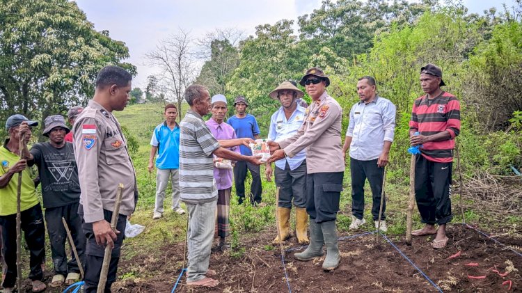 Sinergi Polri dan Petani, Polsek Wolowaru Bergerak Menuju Lumbung Jagung Nasional