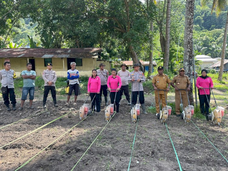 Polsek Wolowaru Bersama Bhayangkari Resmikan Lahan 1,8 Hektar untuk Tanam Perdana Libatkan Tokoh Adat dan Agama