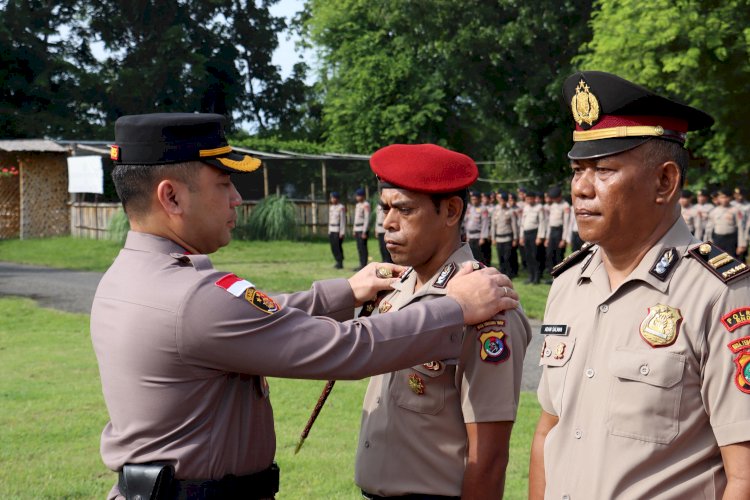 Pangkat Baru di Akhir Tahun, 62 Personel Polres Ende dan Brimob Polda NTT Resmi Naik Pangkat