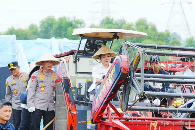 Kapolri-Ketua Komisi IV Pimpin Panen Raya Serentak, Wujud Nyata Dukung Ketahanan Pangan Nasional