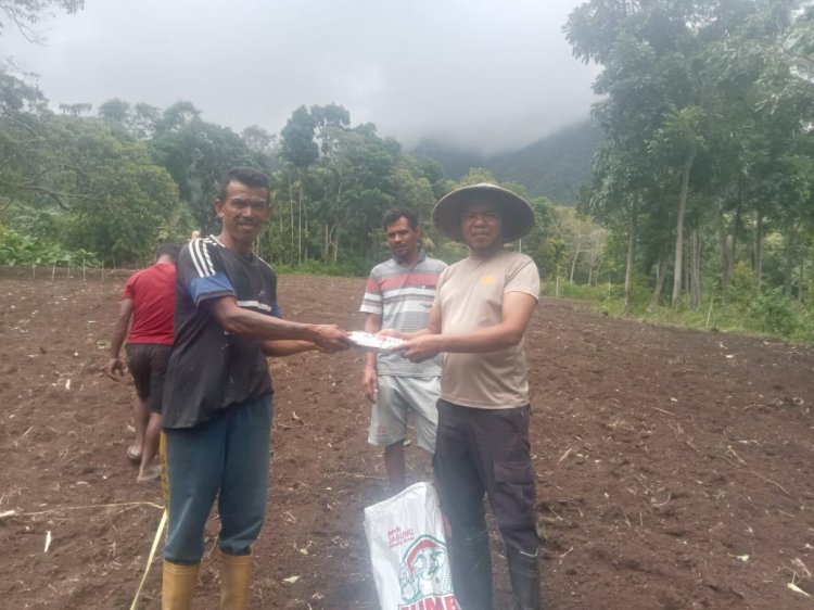 Dukung Ketahanan Pangan, Polsek Wolowaru dan Warga Wiwipemo Tanam Jagung Serentak di Lahan 1,2 Hektar