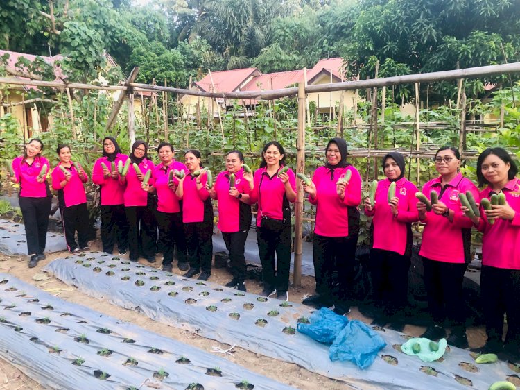 Dukung Ketahanan Pangan, Bhayangkari Ranting Ndona Sulap Pekarangan Jadi Lahan Penghasilan dan Gizi