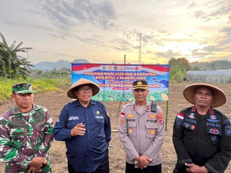 Polres Ende Bersama Forkopimda Tanam Jagung Serentak Kuartal 1 2026 di Nanganesa